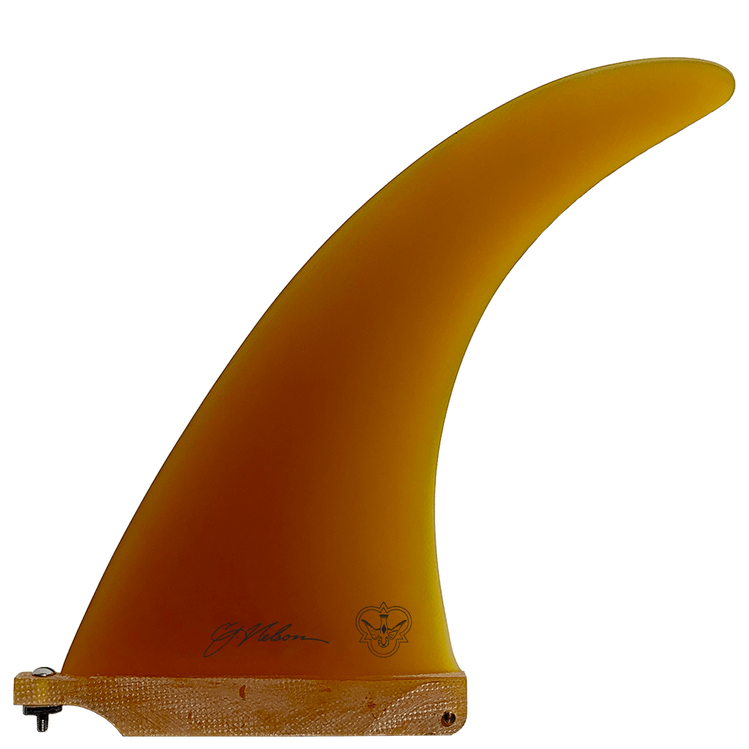 CJ Involvement Amber